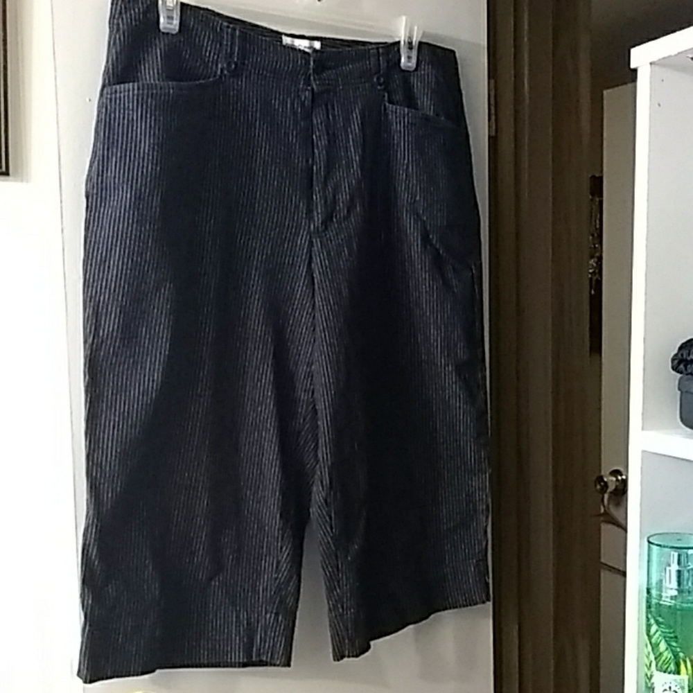 NWOT Navy pinstripe capris